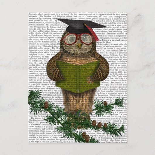 Carte Postale Lecture de hibou sur la branche (Devant)