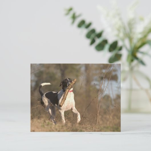 Carte Postale Lecture de la récupération (Debout devant)