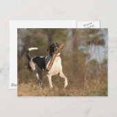 Carte Postale Lecture de la récupération (Devant / Derrière)