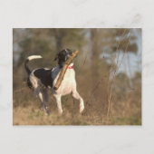 Carte Postale Lecture de la récupération (Devant)