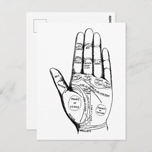 Carte Postale Lecture de Palmiste vintage (Devant / Derrière)