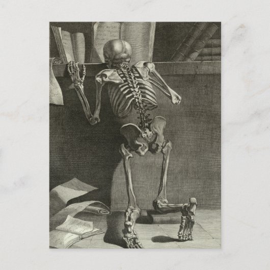 Carte Postale Lecture de squelette (Devant)