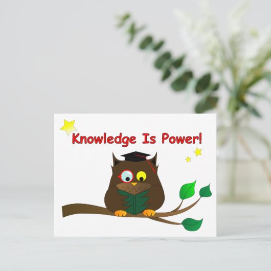 Carte Postale Lecture de Wise Owl (Debout devant)