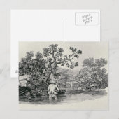 Carte Postale Lecture d'un Saumon (Devant / Derrière)