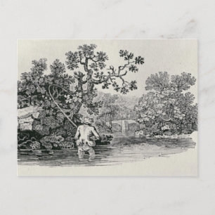 Carte Postale Lecture d'un Saumon