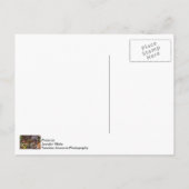 Carte Postale L'écureuil commence avec patience (Dos)