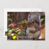 Carte Postale L'écureuil commence patiemment à penser à votre ca (Devant / Derrière)