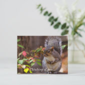 Carte Postale L'écureuil commence patiemment à penser à votre ca (Debout devant)