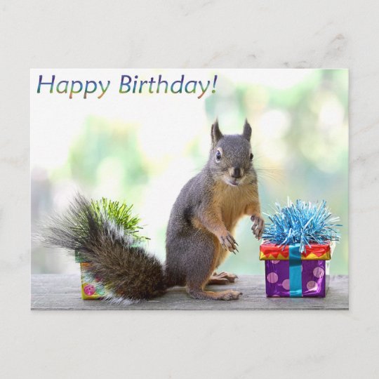 Carte Postale L Ecureuil Joyeux Anniversaire Zazzle Be