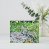 Carte Postale L'écureuil sur une souche d'arbre (Debout devant)