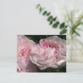 Carte postale Leda Rose Flower (Debout devant)