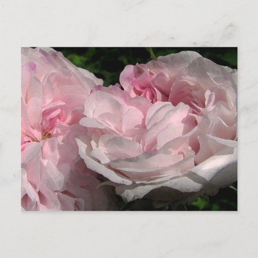 Carte postale Leda Rose Flower (Devant)
