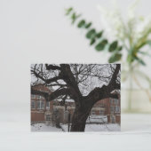 Carte Postale Lee High (Debout devant)