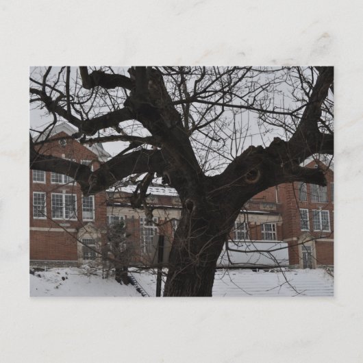 Carte Postale Lee High (Devant)