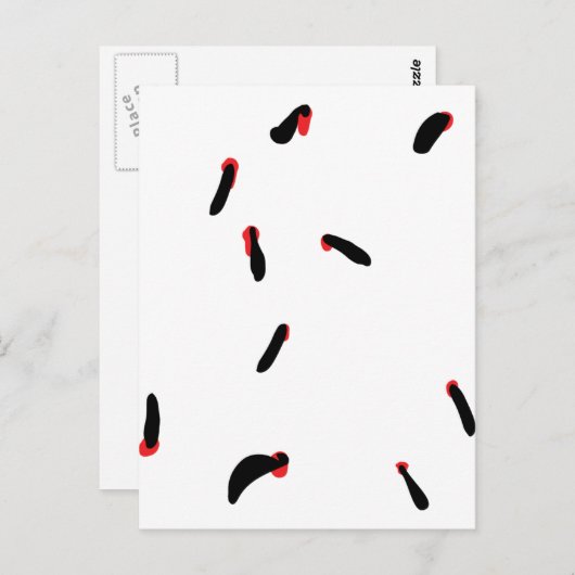 Carte Postale leech - suceurs de sang (Devant / Derrière)