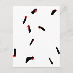 Carte Postale leech - suceurs de sang