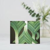 Carte Postale Leeks 2014 (Debout devant)