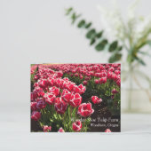 Carte Postale Leen Van Der Mark Tulips, Oregon (Debout devant)