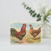 Carte Postale Leghorns (Debout devant)