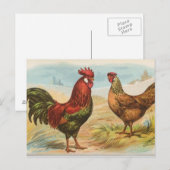 Carte Postale Leghorns (Devant / Derrière)