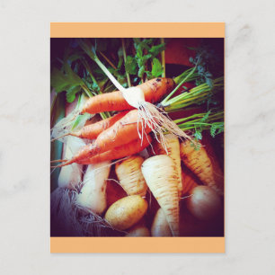 Carte Postale Légume