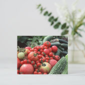 Carte Postale Légumes 4 (Debout devant)