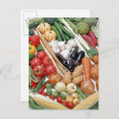 Carte Postale Légumes 6 (Devant / Derrière)
