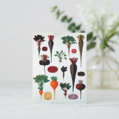 Carte Postale Légumes - Bénary (Debout devant)