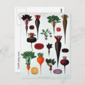 Carte Postale Légumes - Bénary (Devant / Derrière)