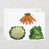 Carte Postale Légumes vintages; Carottes, Chou-fleur, Laitue (Devant / Derrière)