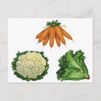 Légumes vintages; Carottes, Chou-fleur, Laitue