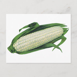 Carte Postale Légumes vintages de la nourriture Maïs blanc sur l