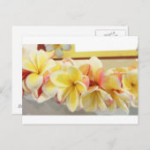 Carte postale Lei # 7 fraîche (Devant / Derrière)