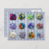 Carte Postale Leicester Longwoire Anglaise en fibr (Devant / Derrière)