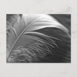 Carte Postale Leichtigkeit