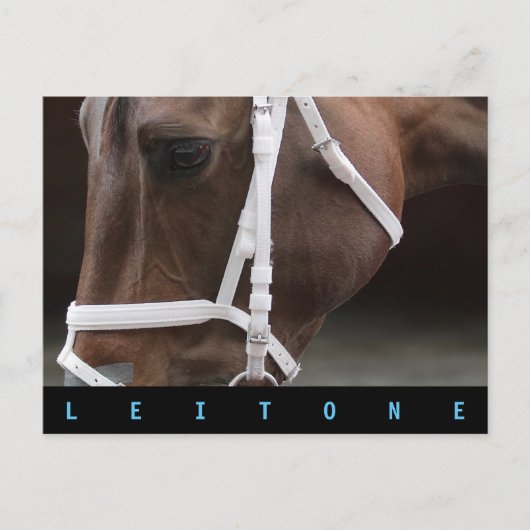 Carte Postale Leitone (Devant)
