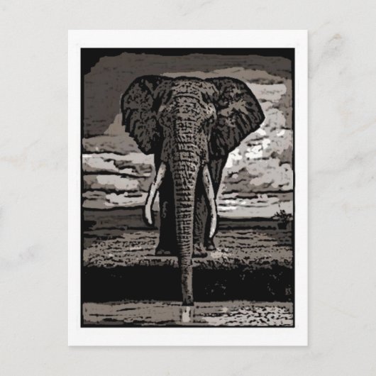 Carte Postale L'éléphant (Devant)