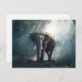 Carte Postale L'éléphant dans la jungle (Devant / Derrière)