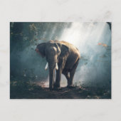 Carte Postale L'éléphant dans la jungle (Devant)