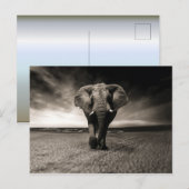 Carte Postale L'éléphant en fuite (Devant / Derrière)