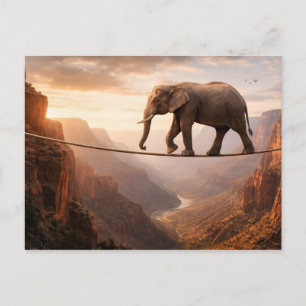 Carte Postale L'éléphant marche sur l'art de la corde
