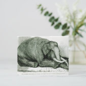 Carte Postale L'éléphant mort (Debout devant)