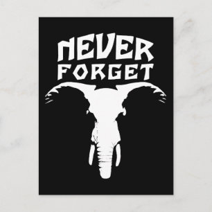 Carte Postale L'éléphant n'oublie jamais