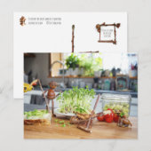 Carte Postale L'elfe d'Acorn récolte des herbes vertes dans la c (Devant / Derrière)