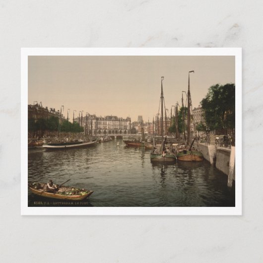 Carte Postale L'Embankment, Rotterdam, Pays-Bas (Devant)