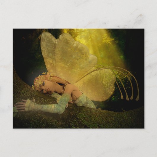 Carte Postale L'embellie (Devant)