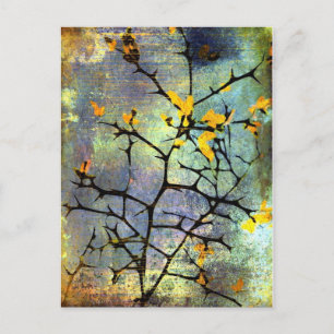 Carte postale Lemon Blossoms