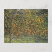 Carte Postale Lemon Grove à Bordighera par Claude Monet (Devant)