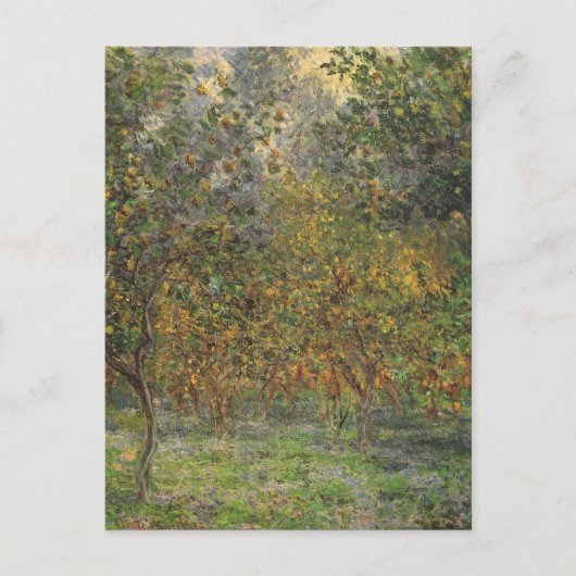 Carte Postale Lemon Grove à Bordighera par Claude Monet (Devant)