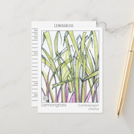 Carte Postale Lemongrass Herb Materia Medica Knowledge Card (Devant/Arrière en situation)